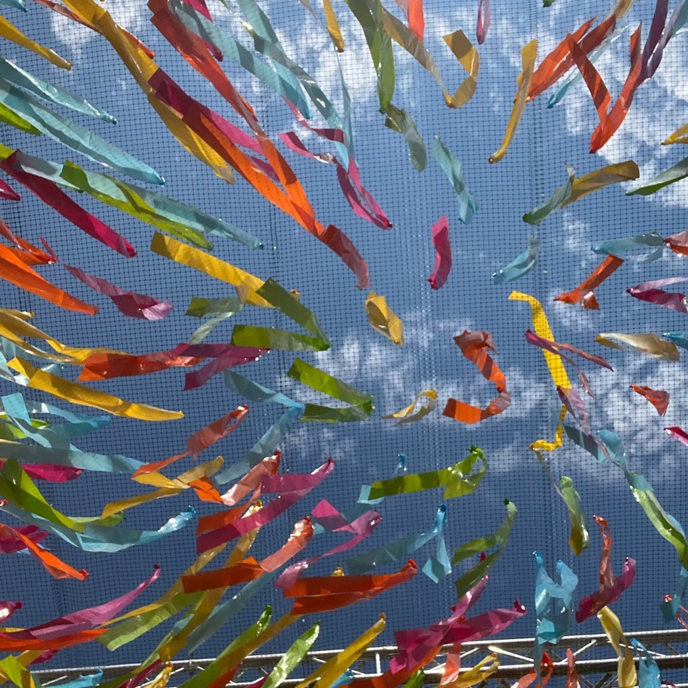 Meet your Posher, Shep